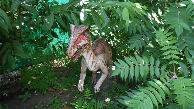 Im DinoWeltWäldchen !  https://www.freizeitspass-eckartsberga.com/attraktionen/dinoweltw%C3%A4ldchen/