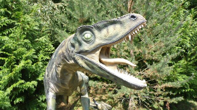 Im DinoWeltWäldchen !  https://www.freizeitspass-eckartsberga.com/attraktionen/dinoweltw%C3%A4ldchen/
