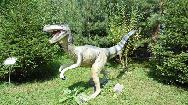 Im DinoWeltWäldchen !  https://www.freizeitspass-eckartsberga.com/attraktionen/dinoweltw%C3%A4ldchen/