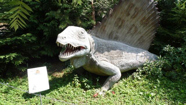 Im DinoWeltWäldchen !  https://www.freizeitspass-eckartsberga.com/attraktionen/dinoweltw%C3%A4ldchen/