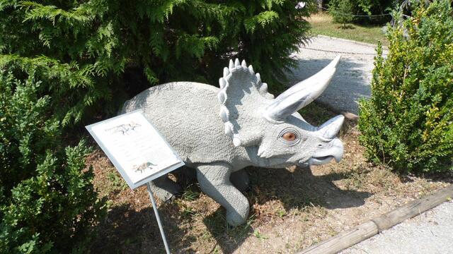 Im DinoWeltWäldchen !  https://www.freizeitspass-eckartsberga.com/attraktionen/dinoweltw%C3%A4ldchen/
