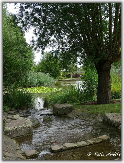 Park der Sinne - schattiges Plätzchen am Teich (Foto: Katja Woidtke)