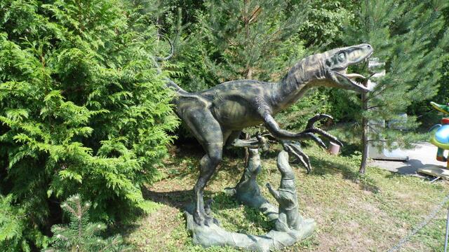 Im DinoWeltWäldchen !  https://www.freizeitspass-eckartsberga.com/attraktionen/dinoweltw%C3%A4ldchen/