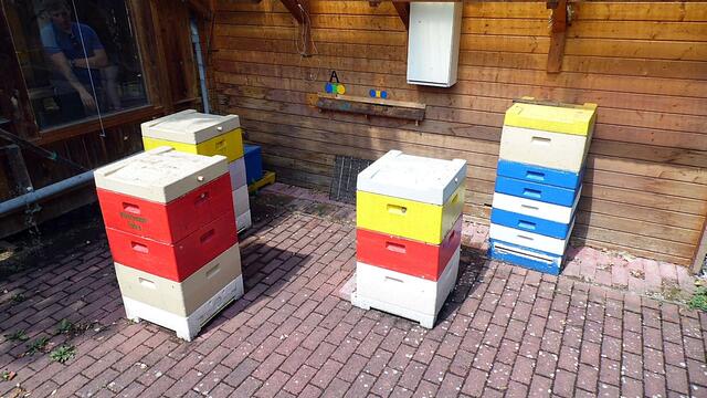 Der Nebraer "Bienenlehrgarten" live im MDR,heute von 14-17:00 Uhr !