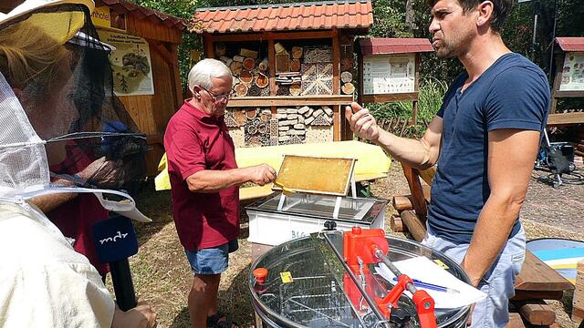 Der Nebraer "Bienenlehrgarten" live im MDR,heute von 14-17:00 Uhr !