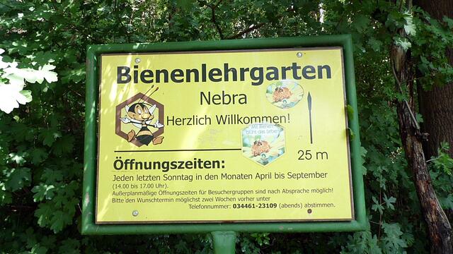 Der Nebraer "Bienenlehrgarten" live im MDR,heute von 14-17:00 Uhr !