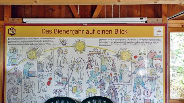 Der Nebraer "Bienenlehrgarten" live im MDR,heute von 14-17:00 Uhr !
