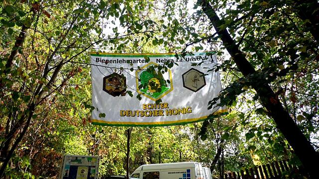 Der Nebraer "Bienenlehrgarten" live im MDR,heute von 14-17:00 Uhr !