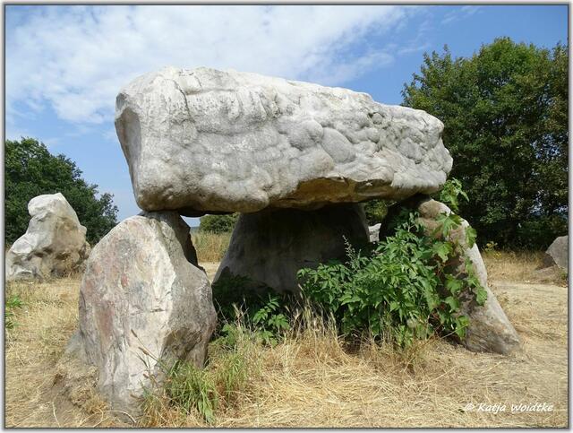 Lübbensteine bei Helmstedt - Südgrab (Foto: Katja Woidtke)