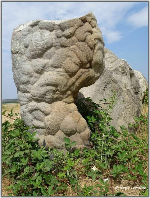 Lübbensteine bei Helmstedt - Südgrab (Foto: Katja Woidtke)