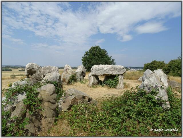 Lübbensteine bei Helmstedt - Südgrab (Foto: Katja Woidtke)