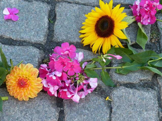 Traditionell wurde das Pflaster des Bremer Marktplatzes durch mitgebrachte Blumen mit dem Peace-Zeichen dekoriert.