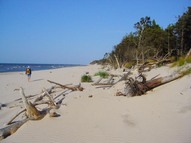 Vom kleinen Touristenort Leba kann man einen besonders schönen Strandabschnitt rund 10 Kilometer nach Westen entlang wandern.