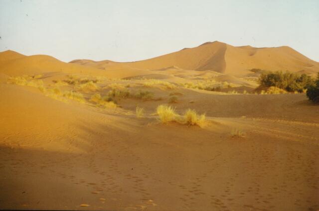 40 Jahre zuvor war ich in der Sahara unterwegs. Im marokkanischen Erg Chebbi erreichen die Dünen eine Höhe von 150 Metern.