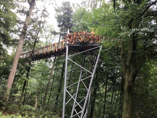 Der Baumwipfelpfad von unten