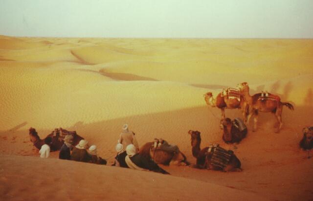 Viel Sand, soweit das Auge reicht. Aber nur 20 Prozent der Sahara bestehen daraus. Der Rest ist Stein und Schotter.