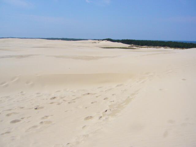 Von dort oben geht der Blick weit über die "Polnische Sahara", die während des 2. Weltkriegs als Trainingsgelände für Rommels Wüstencorps diente.