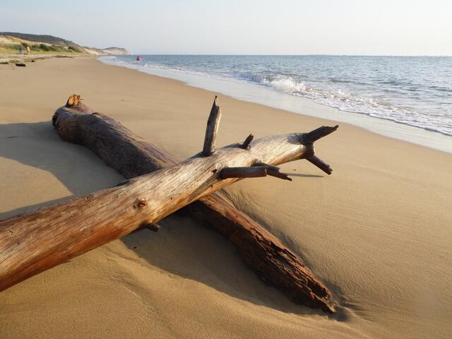 Schönster Sandstrand am Fuß der Düne. Das Meer lädt zur Abkühlung ein.