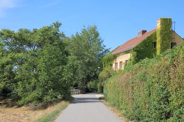 ...und der Radweg ist perfekt.