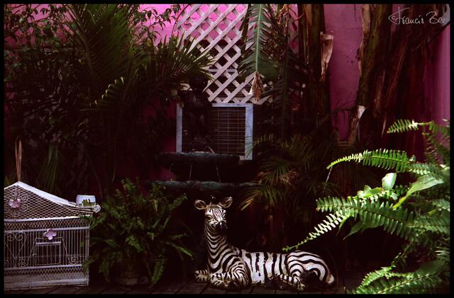 The Best Little Guast House In Town; 1118 Ursulines Street; New Orleans LA 70116; USA