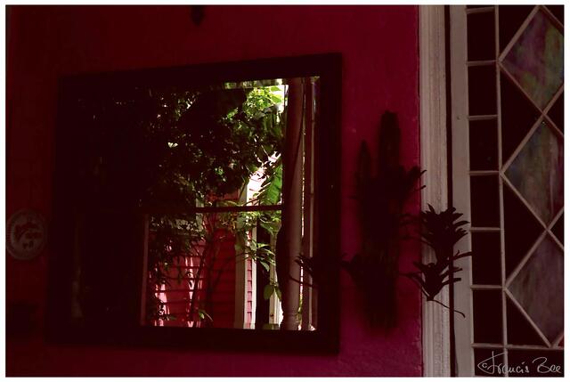 The Best Little Guast House In Town; 1118 Ursulines Street; New Orleans LA 70116; USA