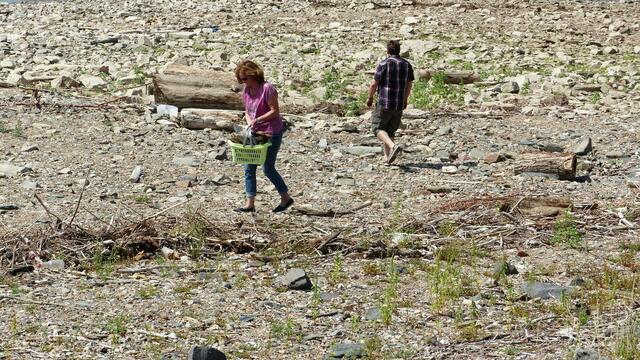 Holzsammler auf den Sandbänken