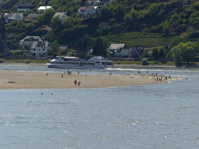 Oberwesel Niedrigwasser am 12.08.2018
