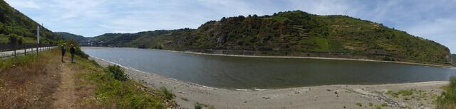 Panorama bei St. Goar