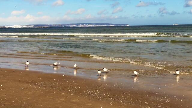 III. 29. März - 3. April 2018. Ostern in Binz auf Rügen.  Strand, Sonne, Möwen.