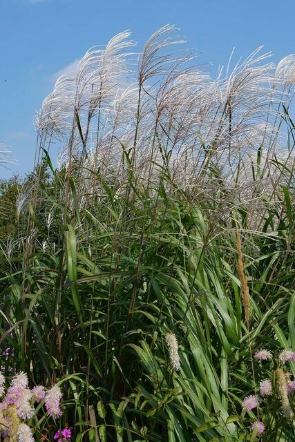 Sommerwetter