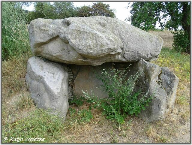 Archäologischer Erlebnispfad Großsteingrab Groß Steinum (Foto: Katja Woidtke)