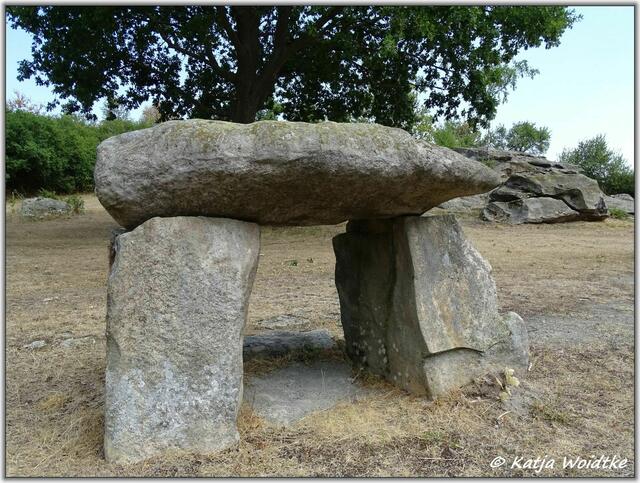 Archäologischer Erlebnispfad Großsteingrab Groß Steinum (Foto: Katja Woidtke)