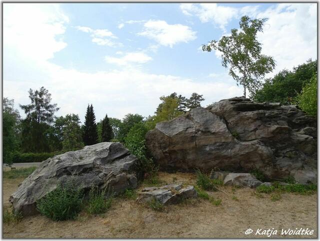 Archäologischer Erlebnispfad Großsteingrab Groß Steinum - Bockshornklippe (Foto: Katja Woidtke)