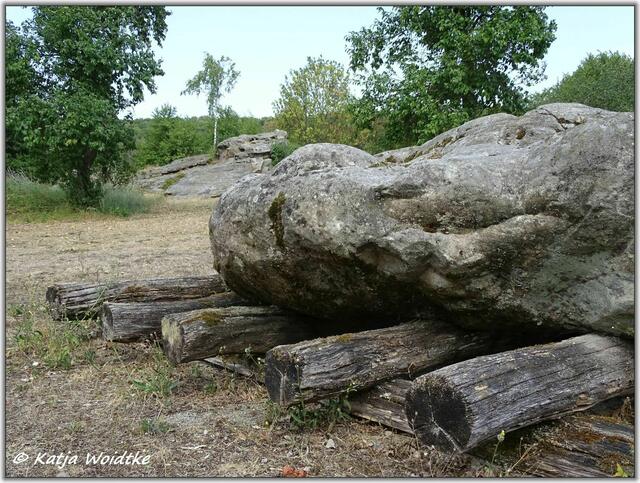 Archäologischer Erlebnispfad Großsteingrab Groß Steinum (Foto: Katja Woidtke)