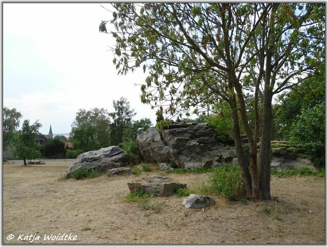 Archäologischer Erlebnispfad Großsteingrab Groß Steinum - Bockshornklippe am Rande von Groß Steinum (Foto: Katja Woidtke)
