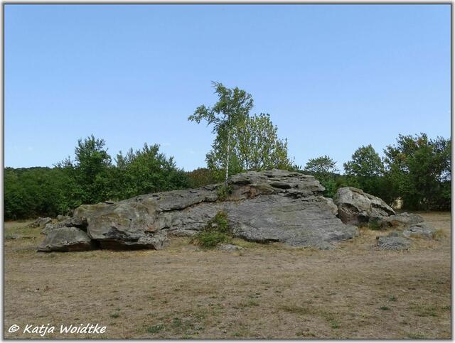 Archäologischer Erlebnispfad Großsteingrab Groß Steinum - Bockshornklippe (Foto: Katja Woidtke)