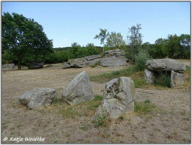 Archäologischer Erlebnispfad Großsteingrab Groß Steinum (Foto: Katja Woidtke)
