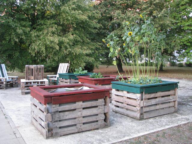 Die Garten Lounge mit Hochbeeten auf festen Betonboden und gut bepflanzt.