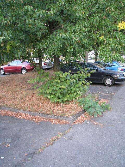 Ich frage mich wie die Damen und Herren zur Einweihung der Lounge gekommen sind, und den Dreck keine 20 Meter daneben nicht gesehen haben.