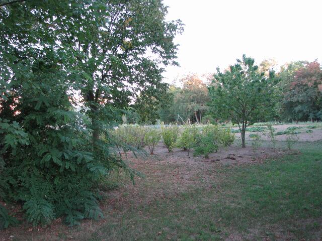 Tafelgarten der alle Tafeln in Schwerin versorgt...