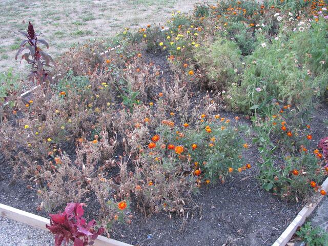 Die Garten Lounge Parchimer Strasse