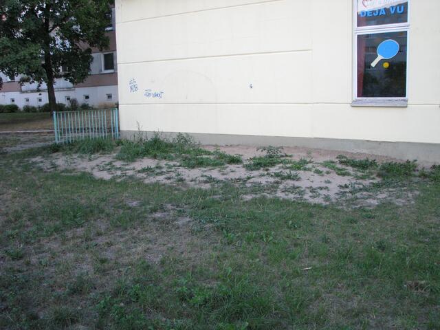 Gepflegt sieht irgendwie anders aus, ist bei der Einweihung der Gartenlounge anscheinend nicht aufgefallen.