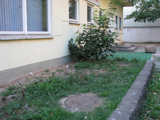 Das Deja Yu beteidige sich an der Gestaltung der Garten Lounge.....