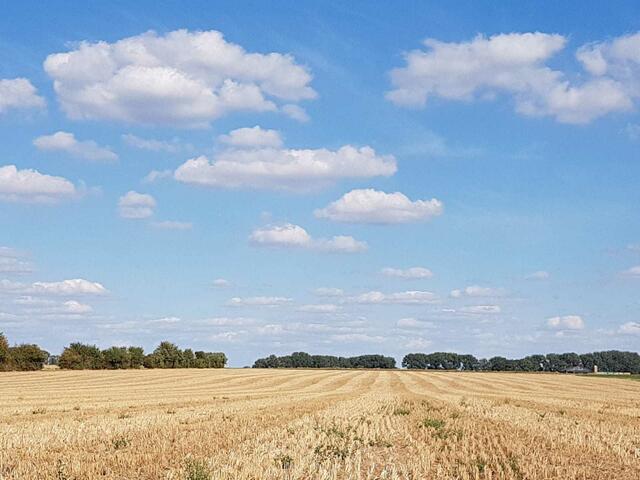 Blick von Pattensen Richtung Koldingen