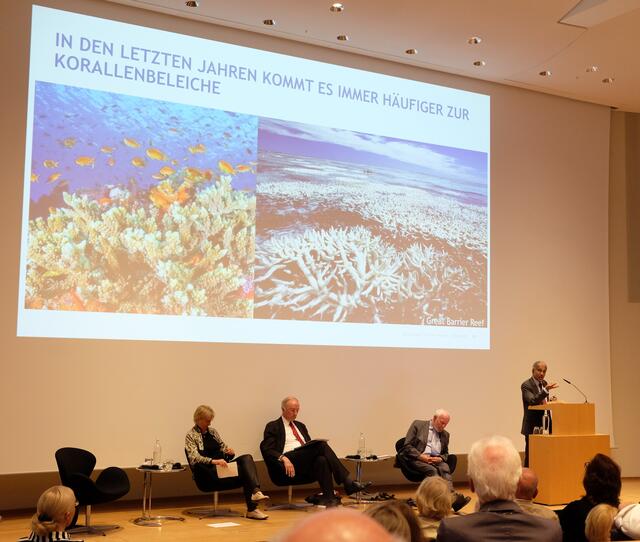 Ein Beispiel ist das große Korallensterben, das längst begonnen hat. Gibt es keine Umweltverbesserungen, könnte sämtliche Riffe Mitte des Jahrhunderts abgestorben sein, so ein Szenarium der Wissenschaft. | Foto: Christel Wolter