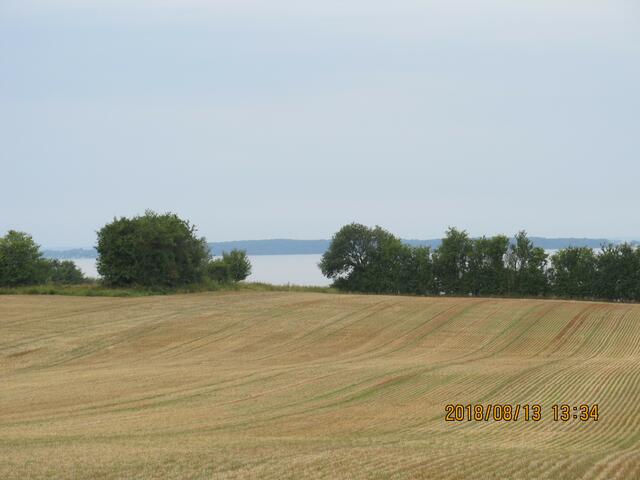 trockenes Land...