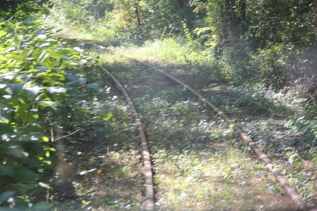 Zum Teil sind die die Schienen auch bewachsen.