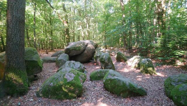 Die "Sloopsteine" sind mitten im Wald gelegen.
