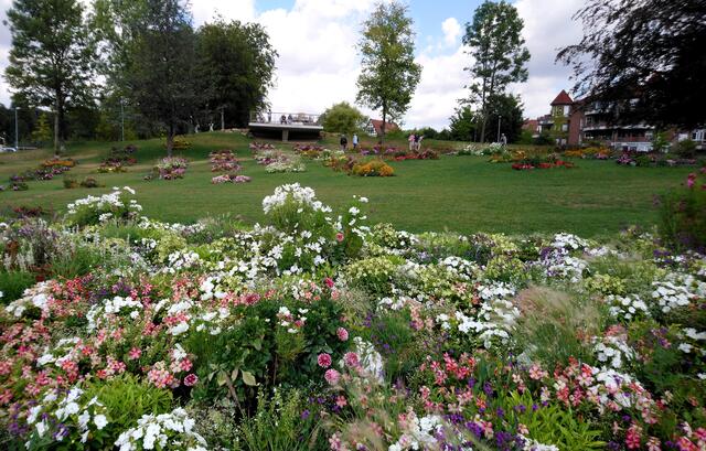 Landesgartenschau Bad Iburg: Herrlich bunte Blumenbeete