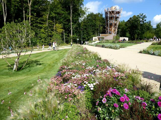 Vom Turm aus geht es zum Baumwipfelpfad und zur Beobachtungsplattform.